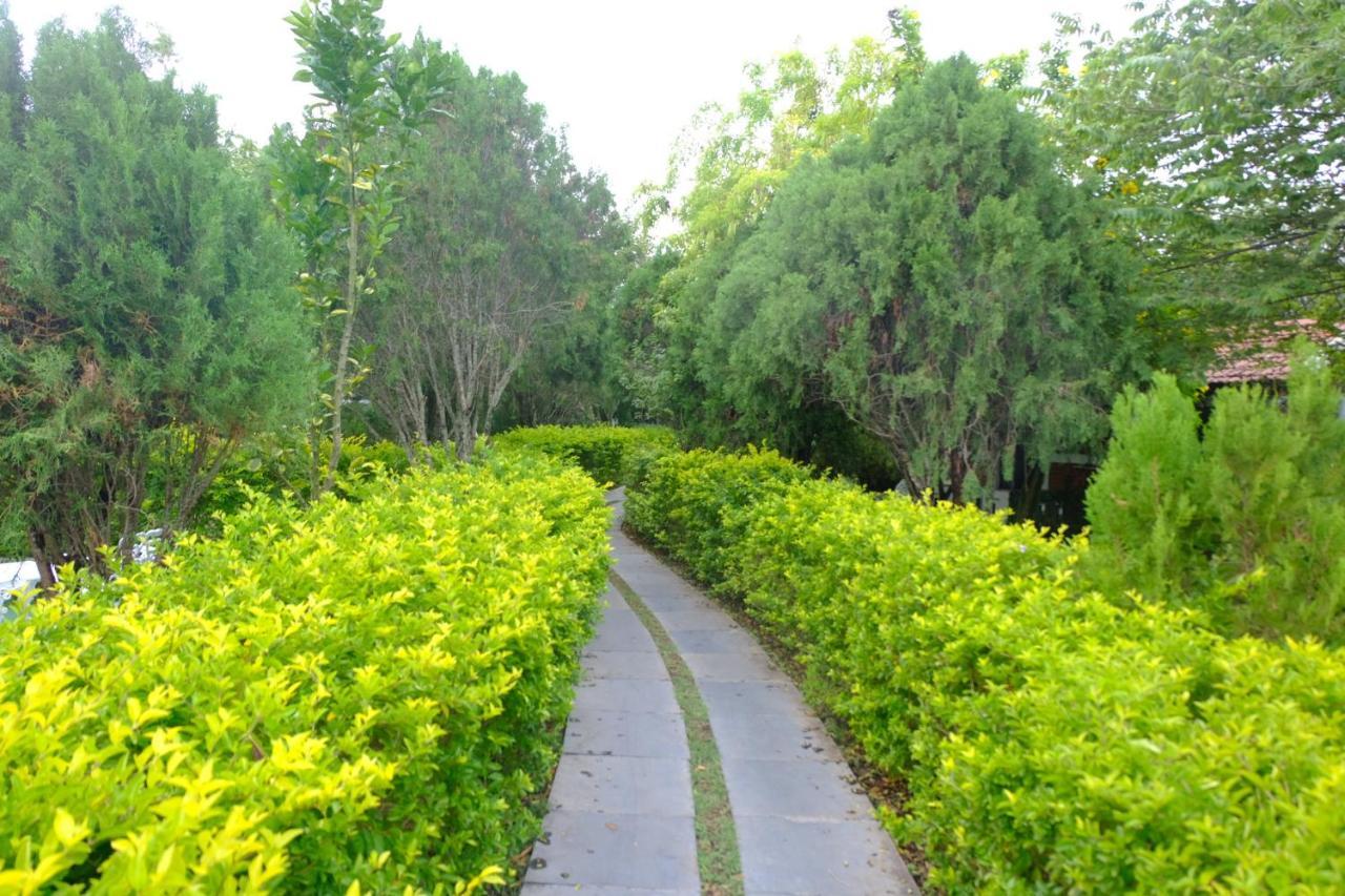 Chalets Resort Masinagudi Ooty Εξωτερικό φωτογραφία