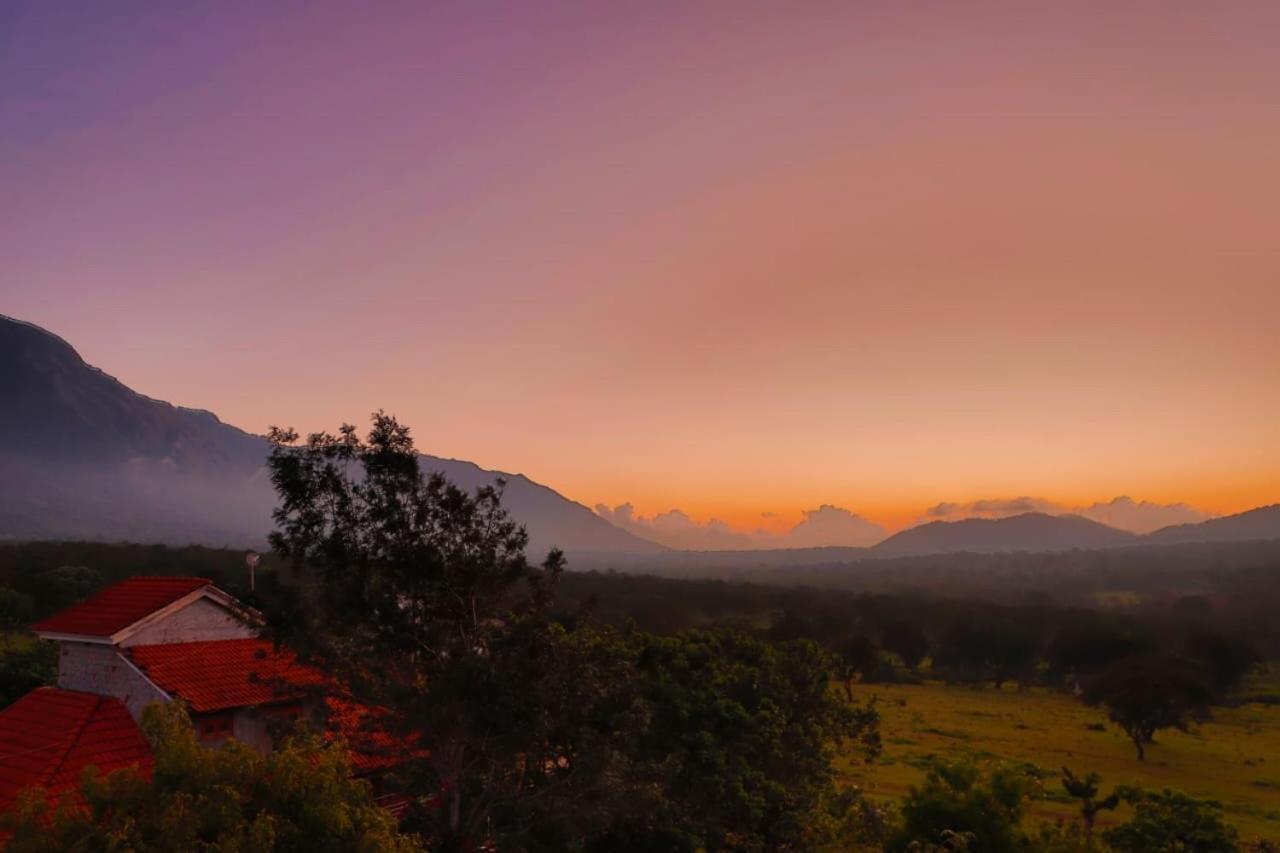 Chalets Resort Masinagudi Ooty Εξωτερικό φωτογραφία