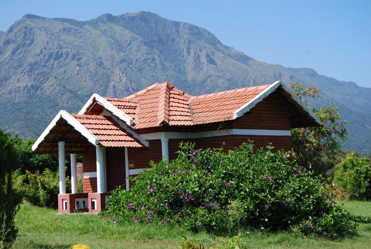 Chalets Resort Masinagudi Ooty Εξωτερικό φωτογραφία